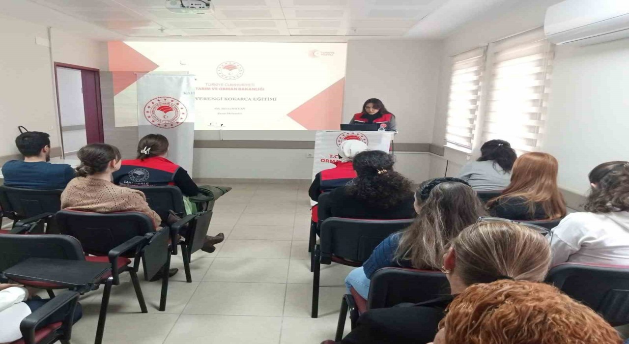 Geliboluda kahverengi kokarca ile mücadele eğitimleri devam ediyor