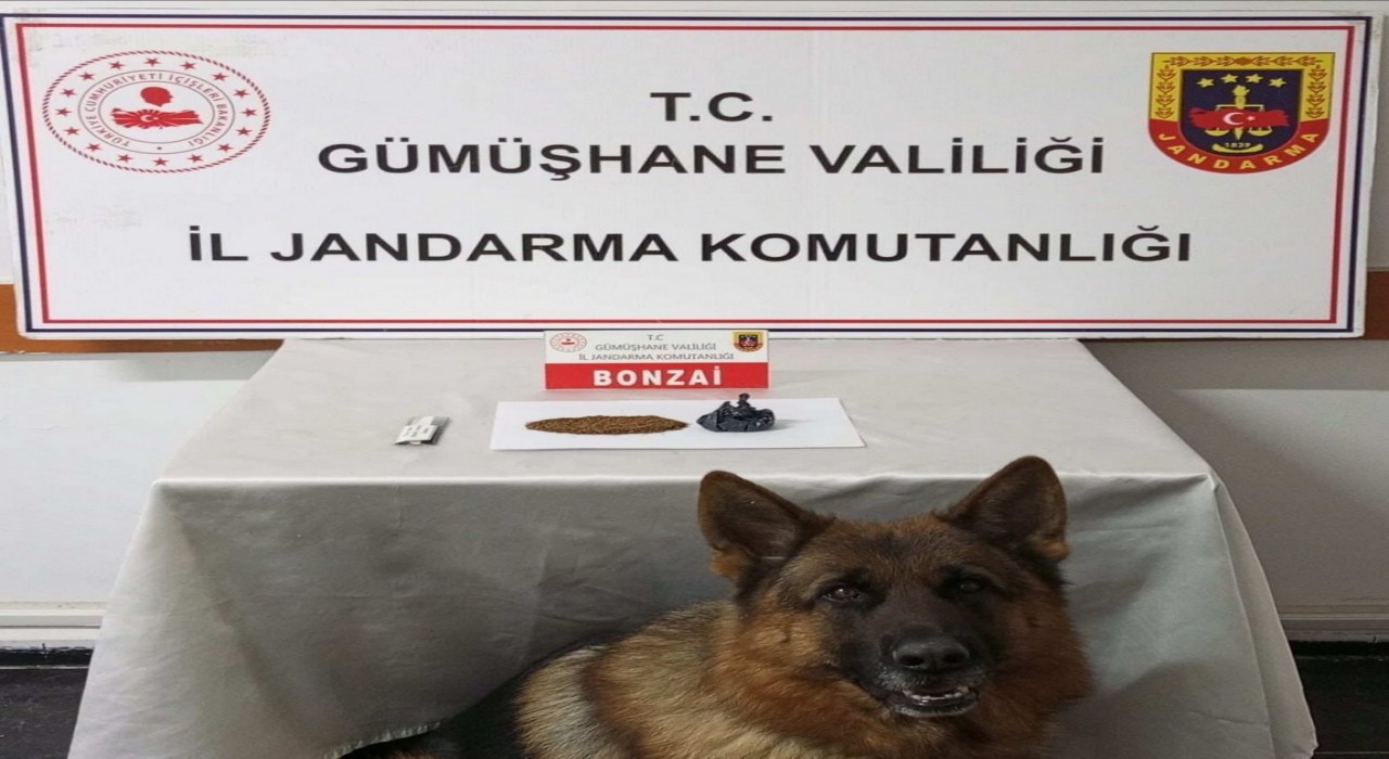 Gümüşhanede uyuşturucu operasyonu