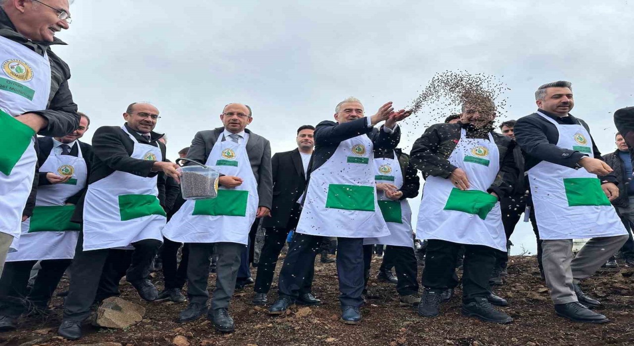 Harmancıkta yanan 4 bin 256 hektar alan ağaçlandırılıyor