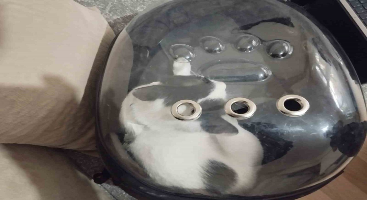 Havalandırma boşluğuna düşen kediyi itfaiye kurtardı