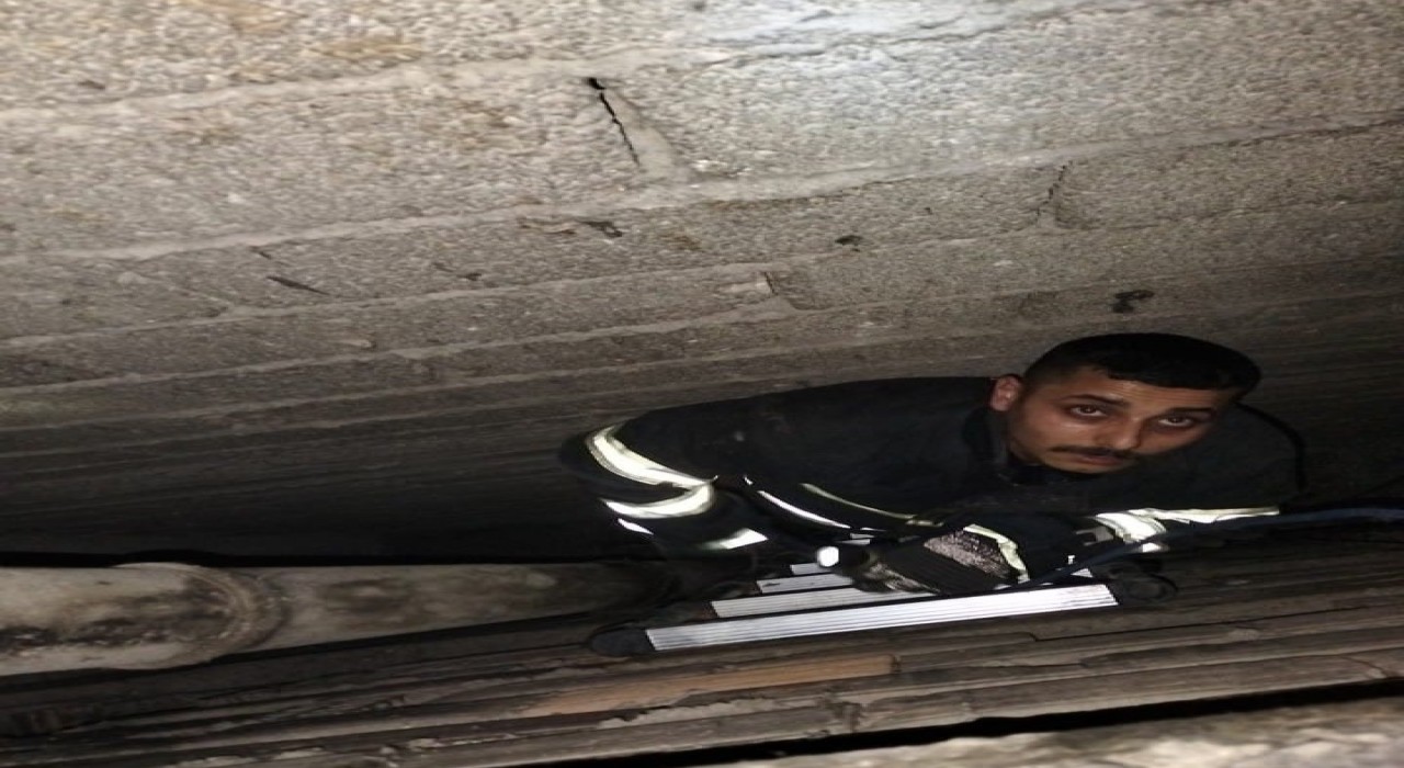 Havalandırma boşluğuna düşen yavru kediyi itfaiye kurtardı