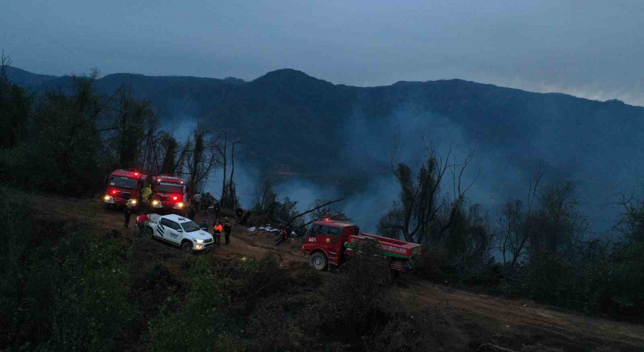 Hopadaki orman yangını söndürüldü, soğutma çalışmaları sürüyor