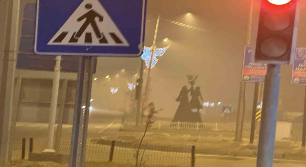 Iğdırda gece saatlerinde yoğun sis etkili oldu