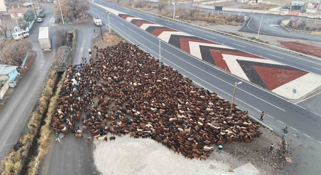 Iğdırlı göçerler, zorlu yolculuğun ardından Iğdıra ulaştı