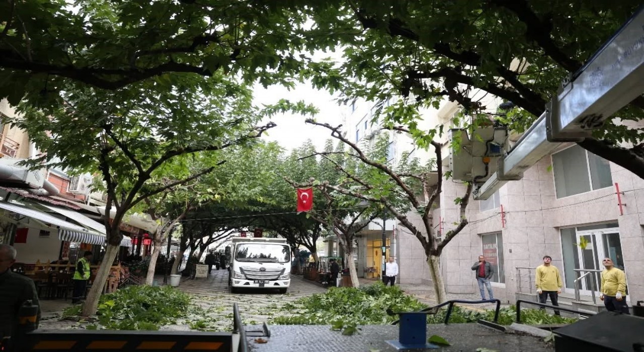 İncirliova Sevgi Yolundaki ağaçlara bakım