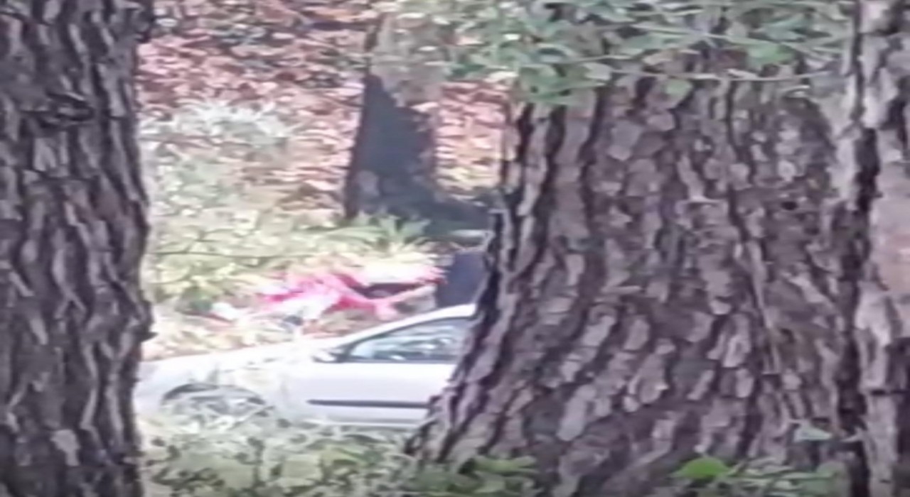 İzmirde bir kadın ormanlık alanda darbedildi