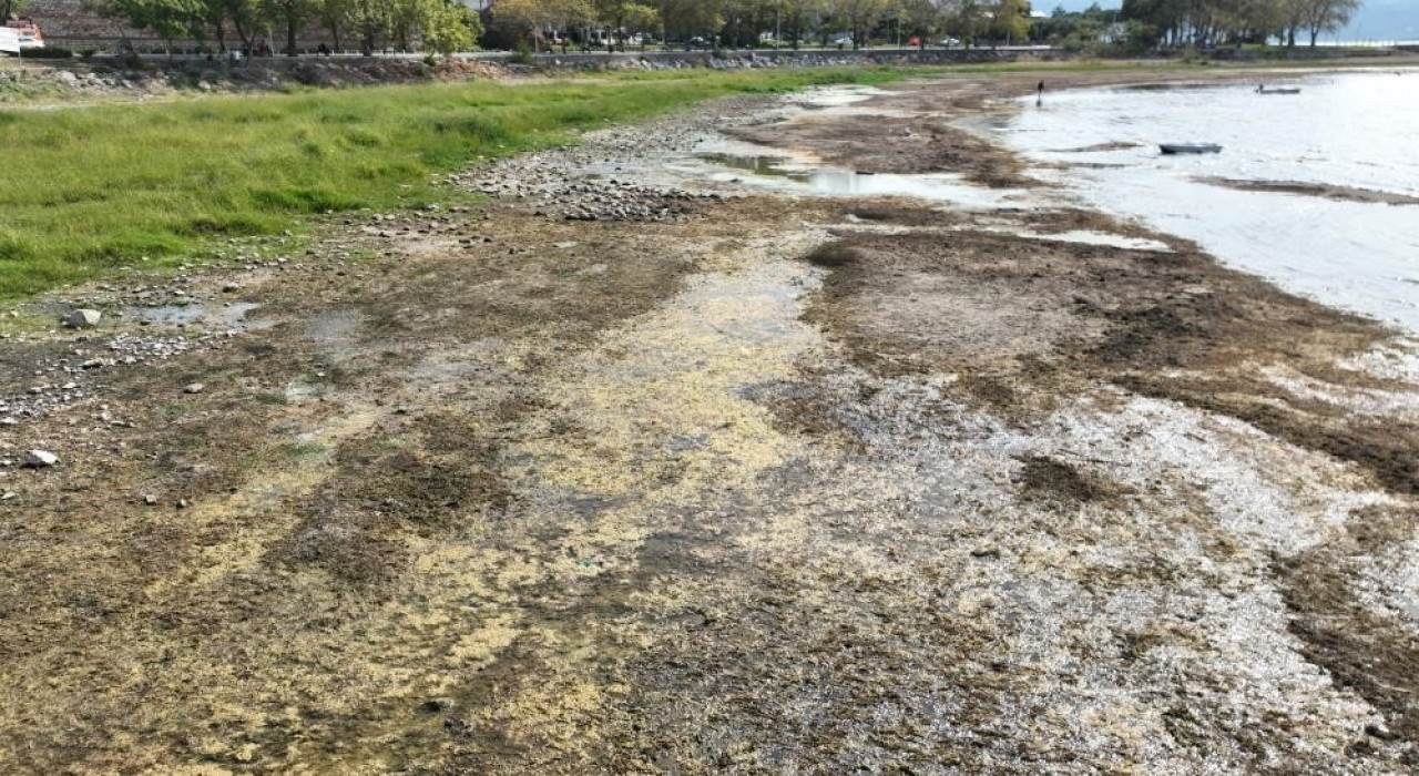 İznik Gölü kuruyor: Cargillin yer altı sularından yılda 1 milyon metreküpten fazla su çektiği ileri sürülüyor