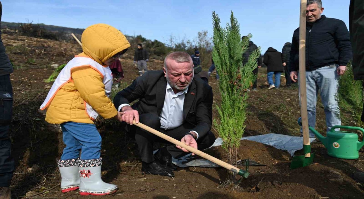 Karacabeyde yangın sonrası ilk fidanlar toprakla buluştu