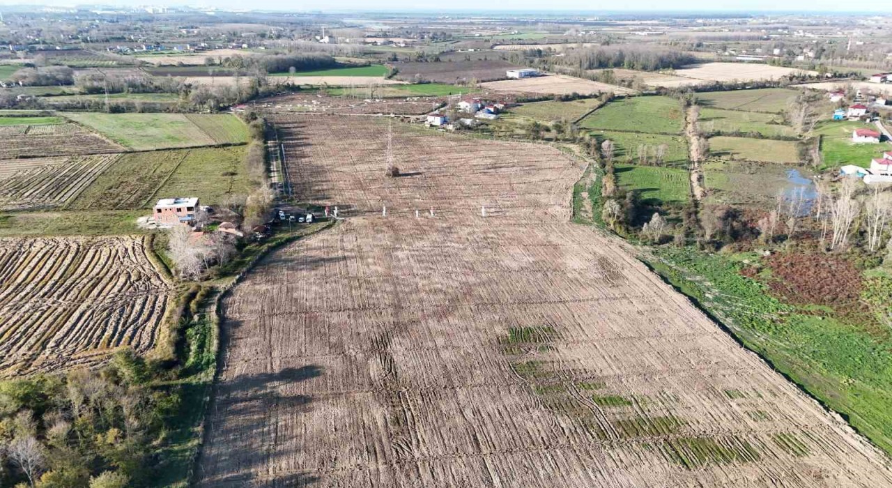 Karadenizin en büyük incir projesi: 50 milyon TL gelir kız çocuklarına verilecek