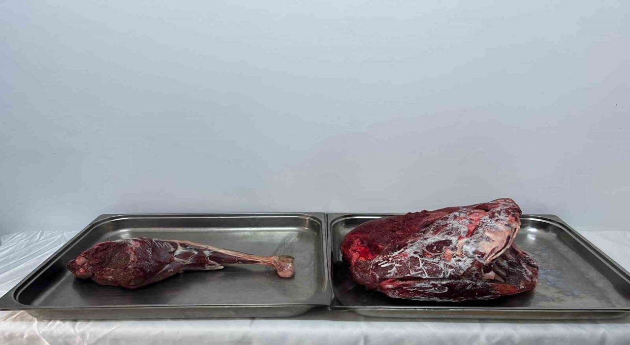 Karamanda yaban keçisi avlayan şahıslara 954 bin 208 lira ceza