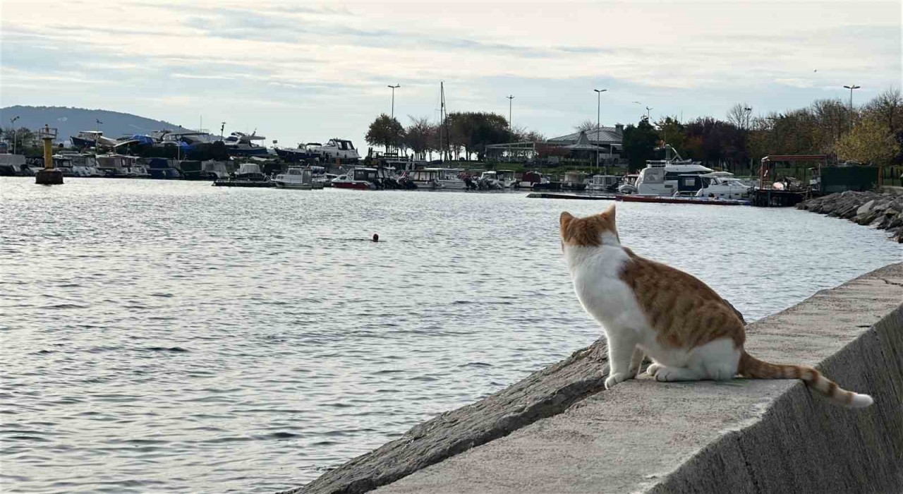 Kartalda üşüten manzara: İki arkadaş soğukta denize girdi