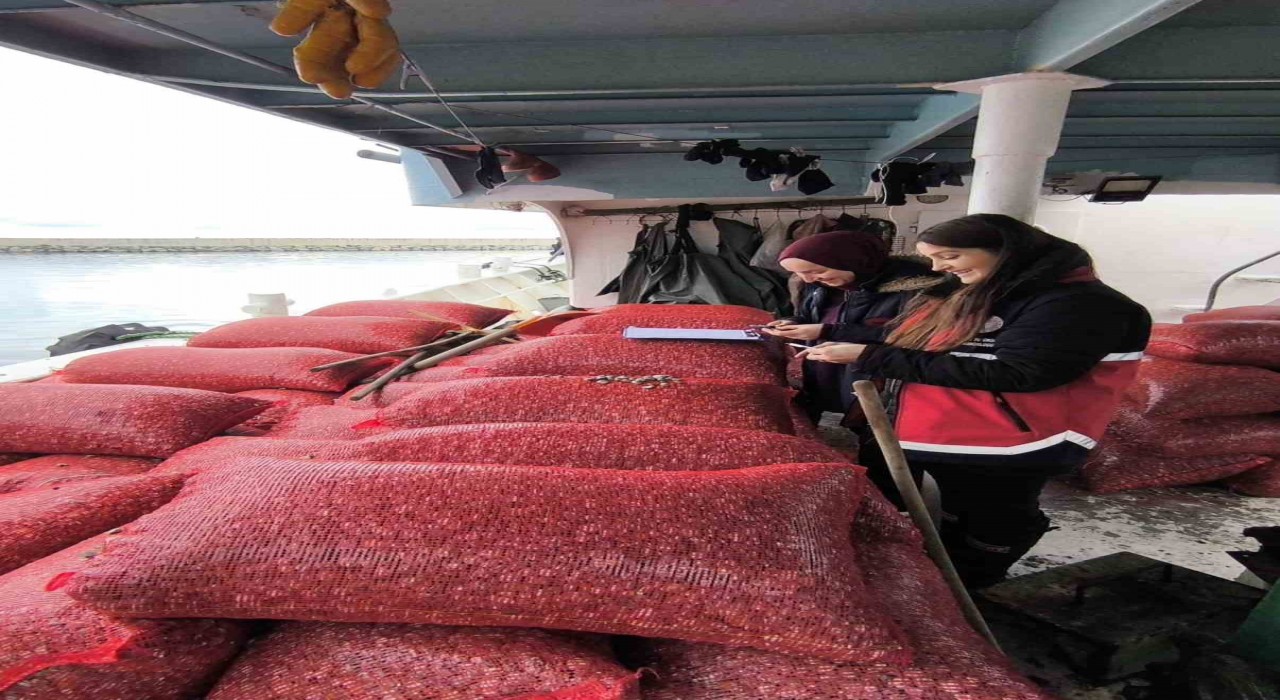 Kastamonuda beyaz kum midyesi denetimi