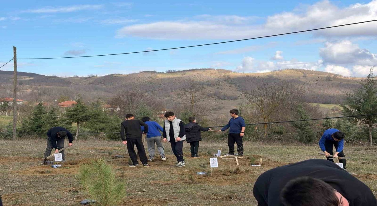 Kavakta doğa için fidan, eğitim için kitap desteği