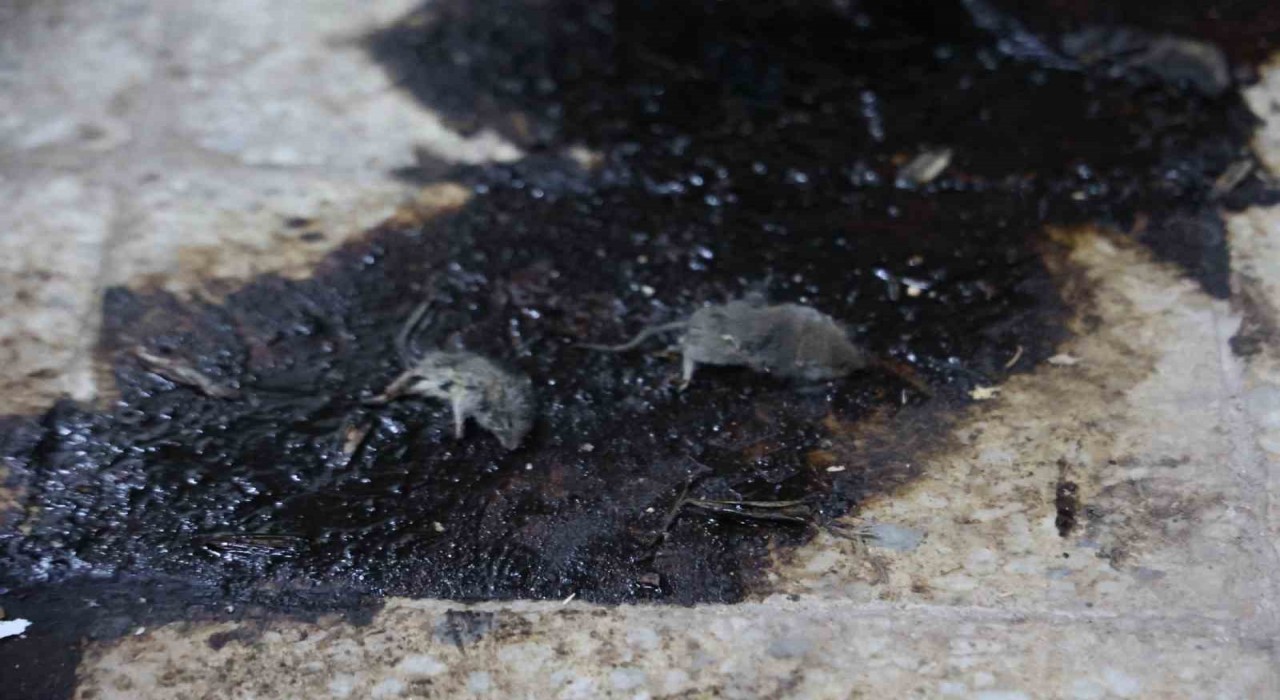 Kiliste hijyen şartlarına aykırı üretim yapan işletmeye 105 bin TL ceza