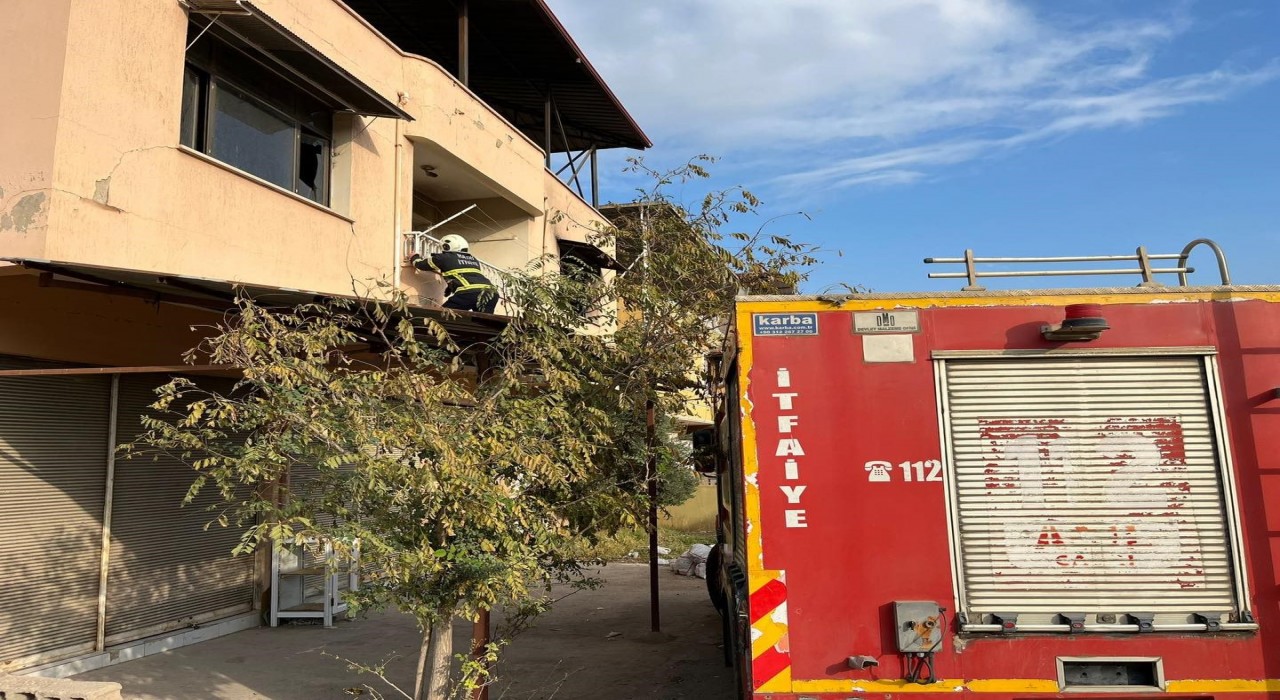 Kırıkhanda çatıda mahsur kalan kediyi itfaiye kurtardı