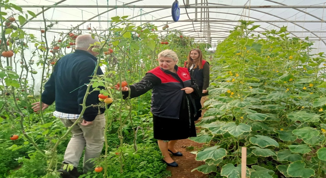 Kırklarelinde sera kontrolleri