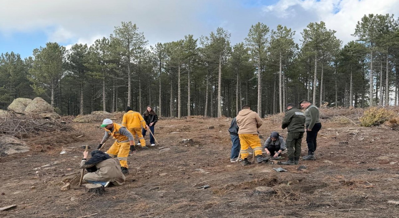 Kırşehirden gelen üniversite öğrencileri Çinede fidan dikti