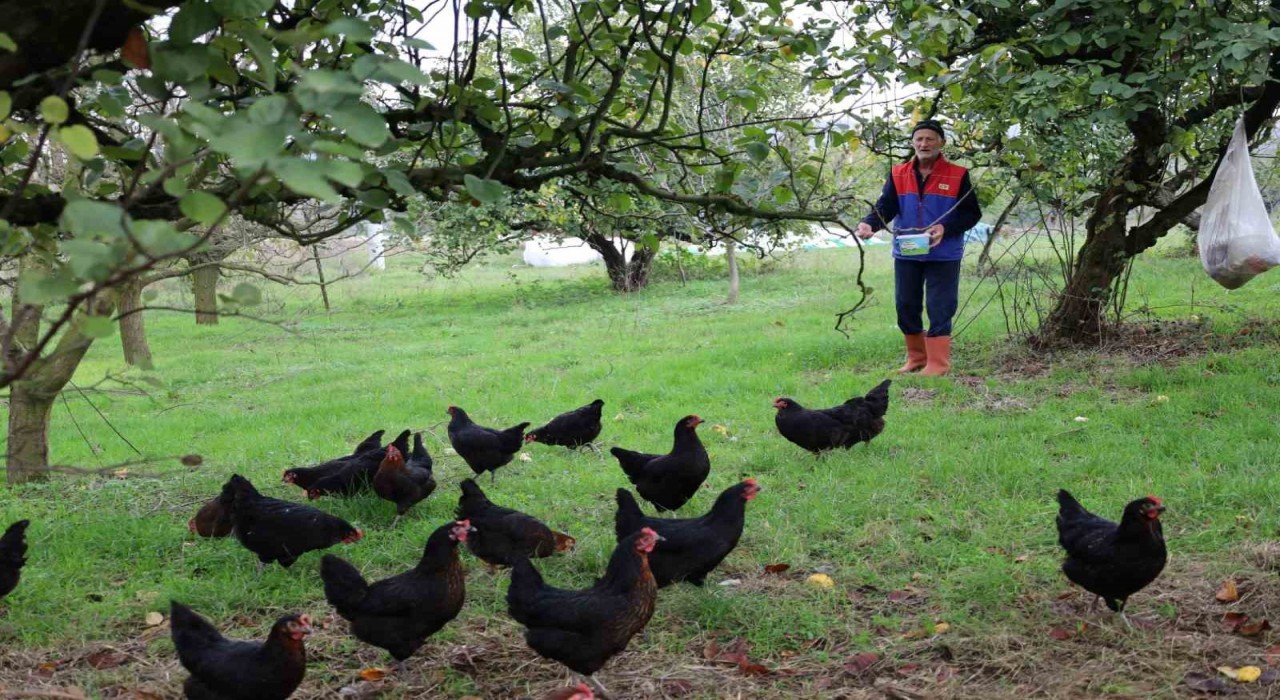 Kocaelide kırsal kalkınmaya kanatlı destek