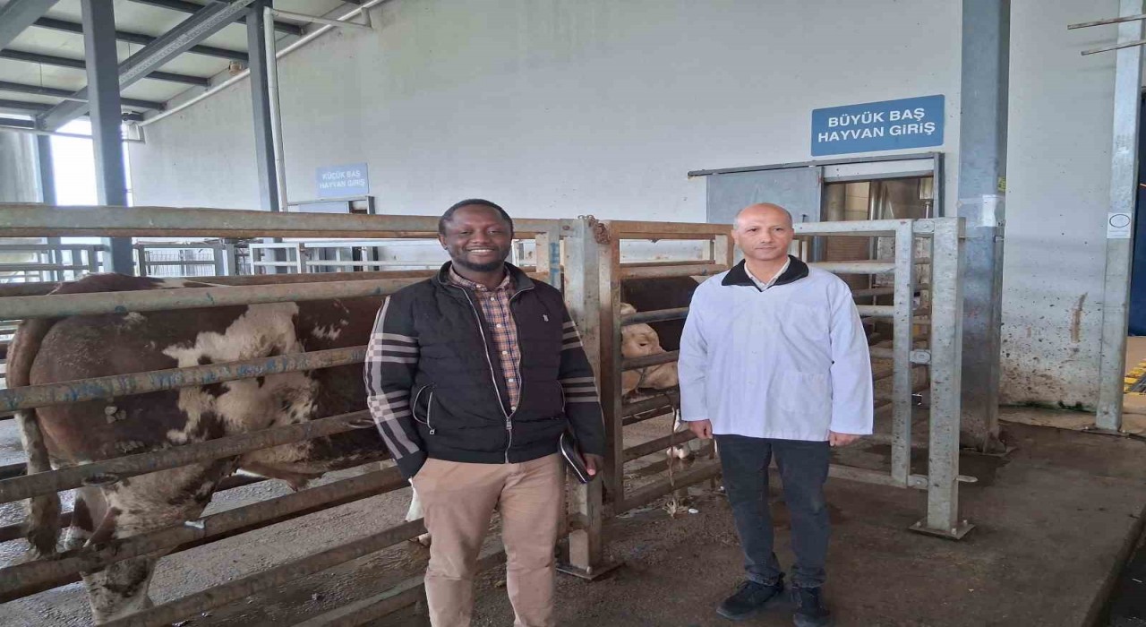 Kocaelideki mezbaha tesisi İslam ülkelerine örnek gösterildi