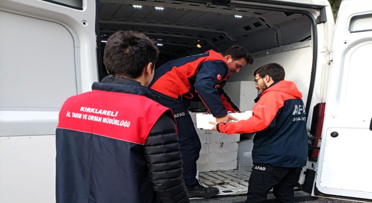 Küçük boyda avlanan 307 kasa istavrite el konuldu