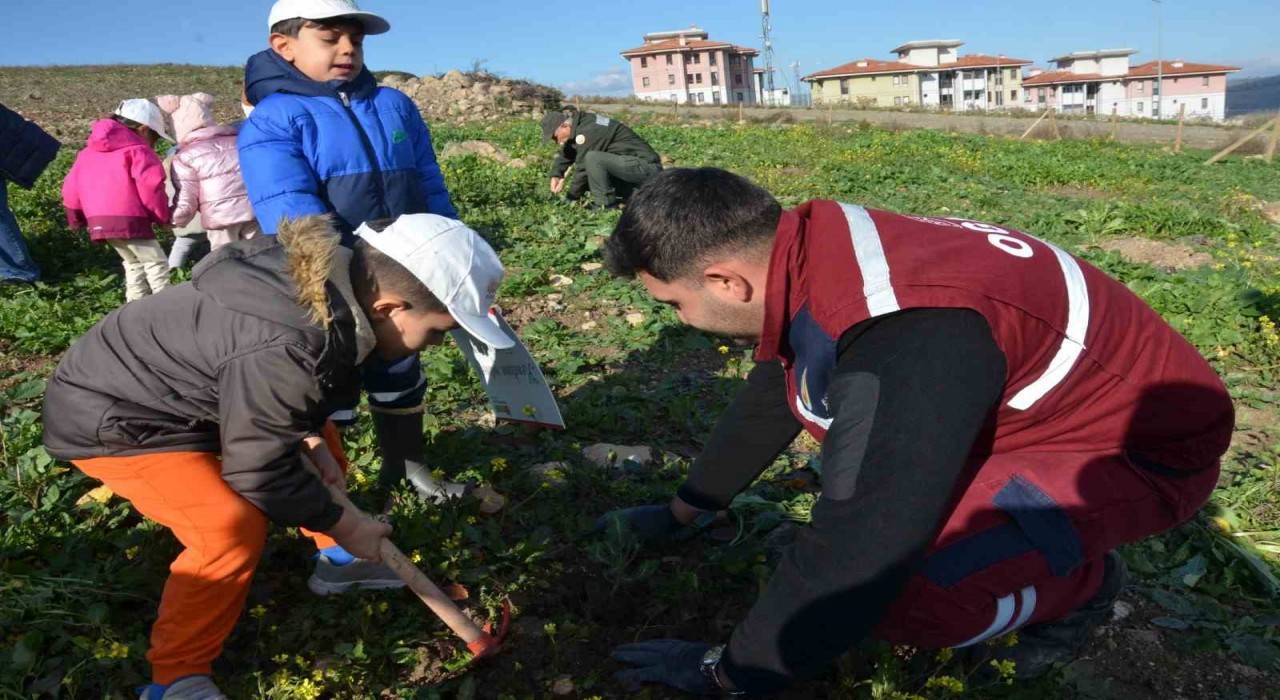 Manisada yanan alanlara 100 bininci fidan dikildi