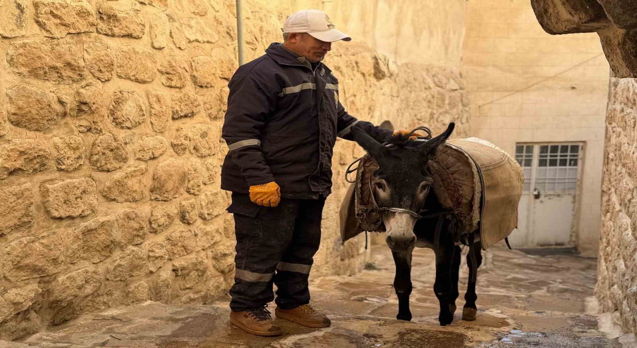 Mardinde kadrolu eşekleri emekli edecek proje hayata geçiyor