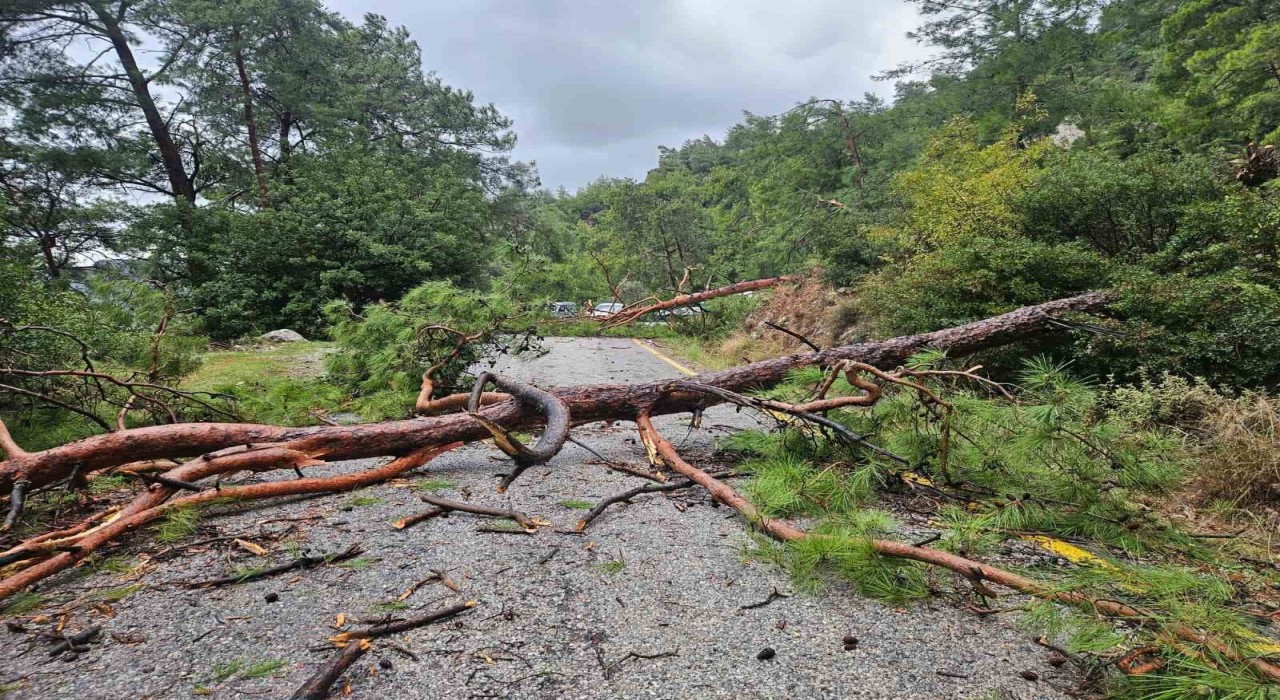 Menteşe Akbükte şiddetli yağış ve rüzgar etkili oldu