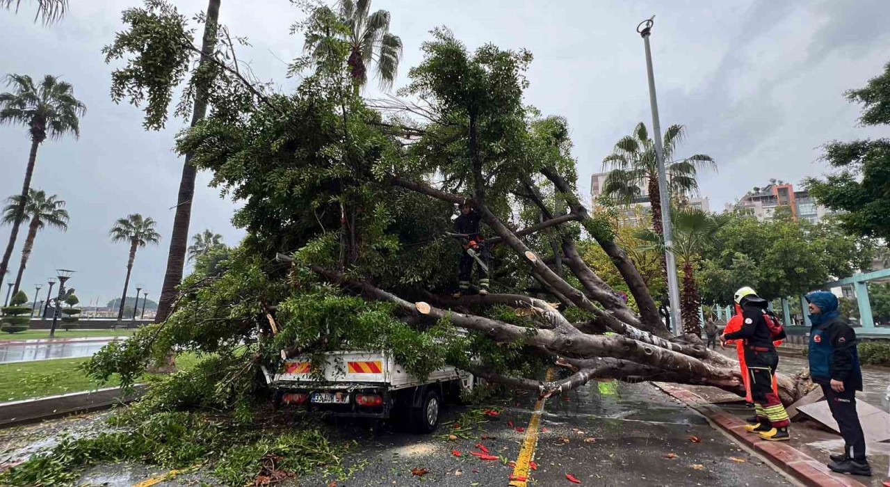 Mersinde devrilen ağaç, seyir halindeki 3 araca zarar verdi