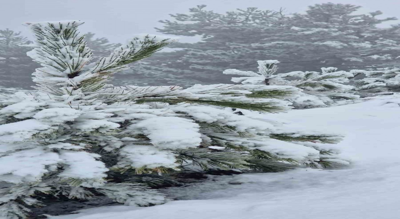 Muğlaya mevsimin ilk karı yağdı