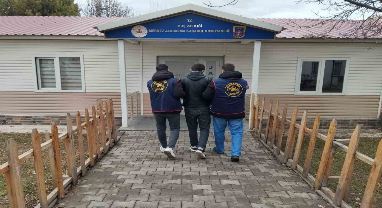 Muşta dolandırıcılık suçundan aranan hükümlü yakalandı