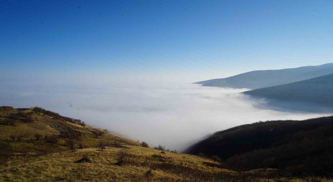 Muşta sis ovayı kapladı: Kartpostallık manzaralar oluştu