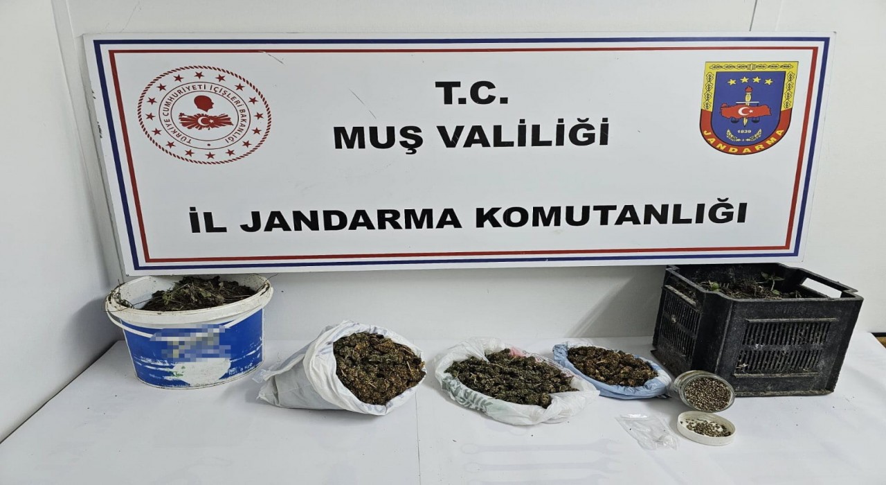 Muşta uyuşturucu operasyonu