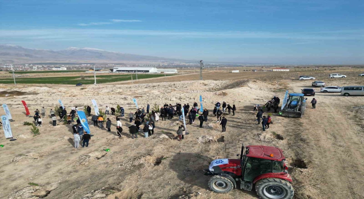 Niğdede bal ormanı için 5 bin fidan toprakla buluştu