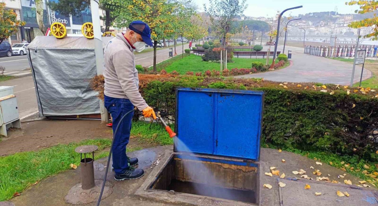 Orduda haşerelere karşı kışlak çalışması başlatıldı