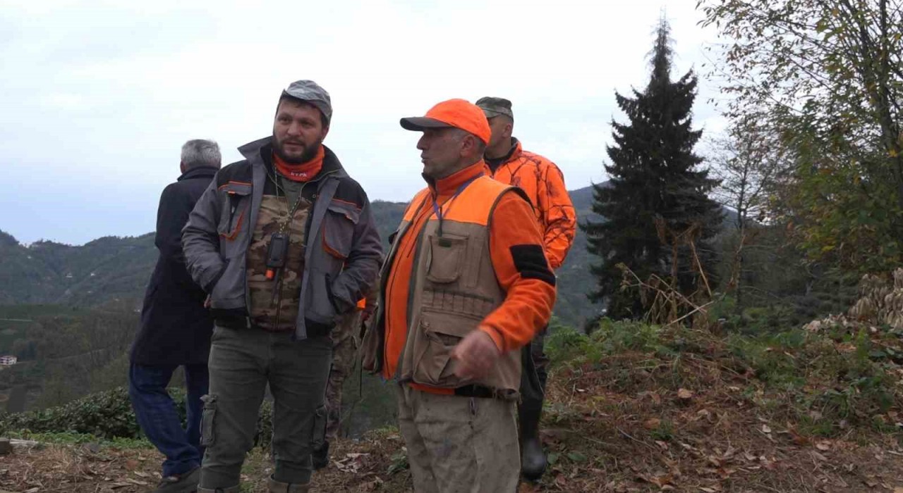 Rizede ayı için sürek avı başlatıldı