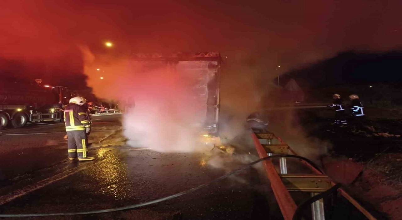 Şanlıurfada beyaz eşya yüklü tır alev alev yandı