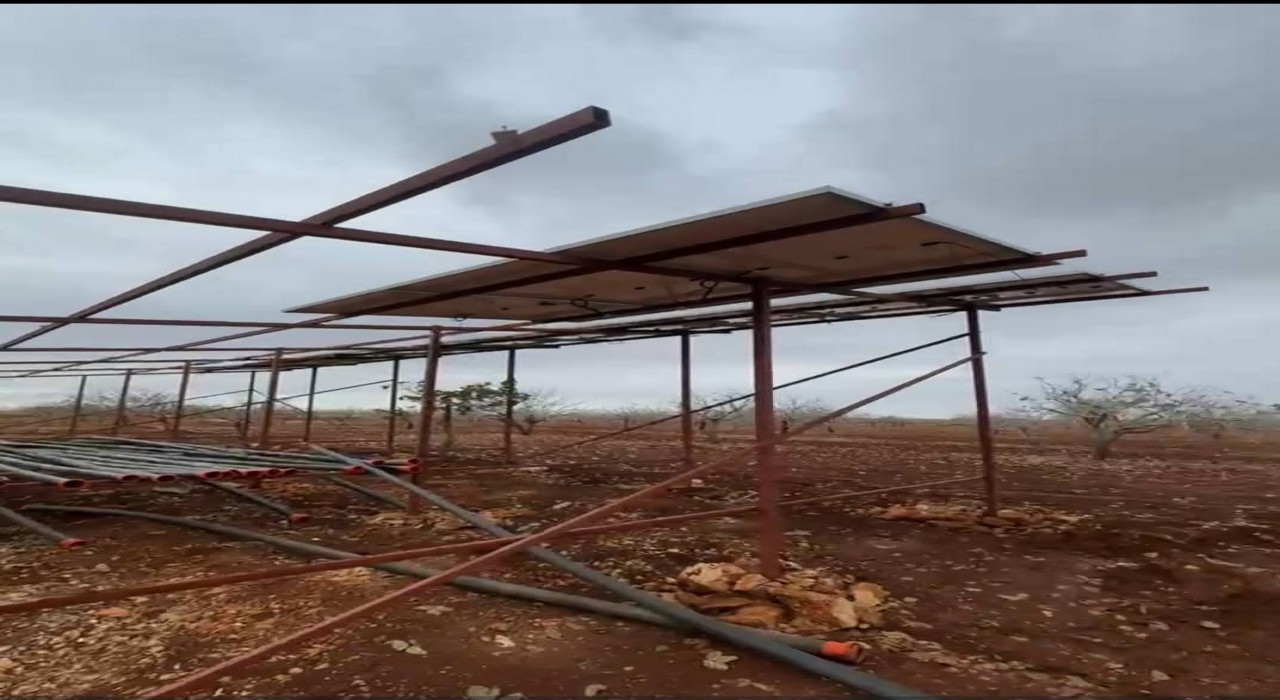 Şanlıurfada hırsızlar sisli havada güneş enerjisi panellerine dadandı