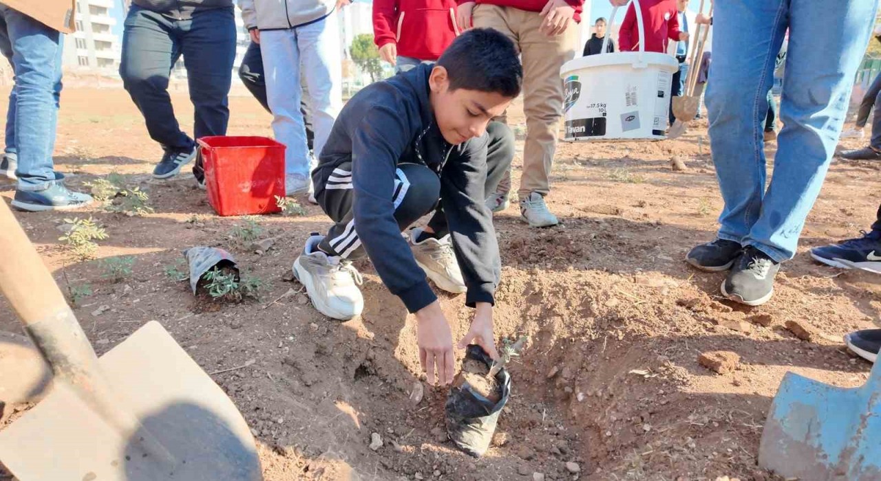 Şanlıurfada Yeşeren Okullar Projesi ile fidanlar toprakla buluştu