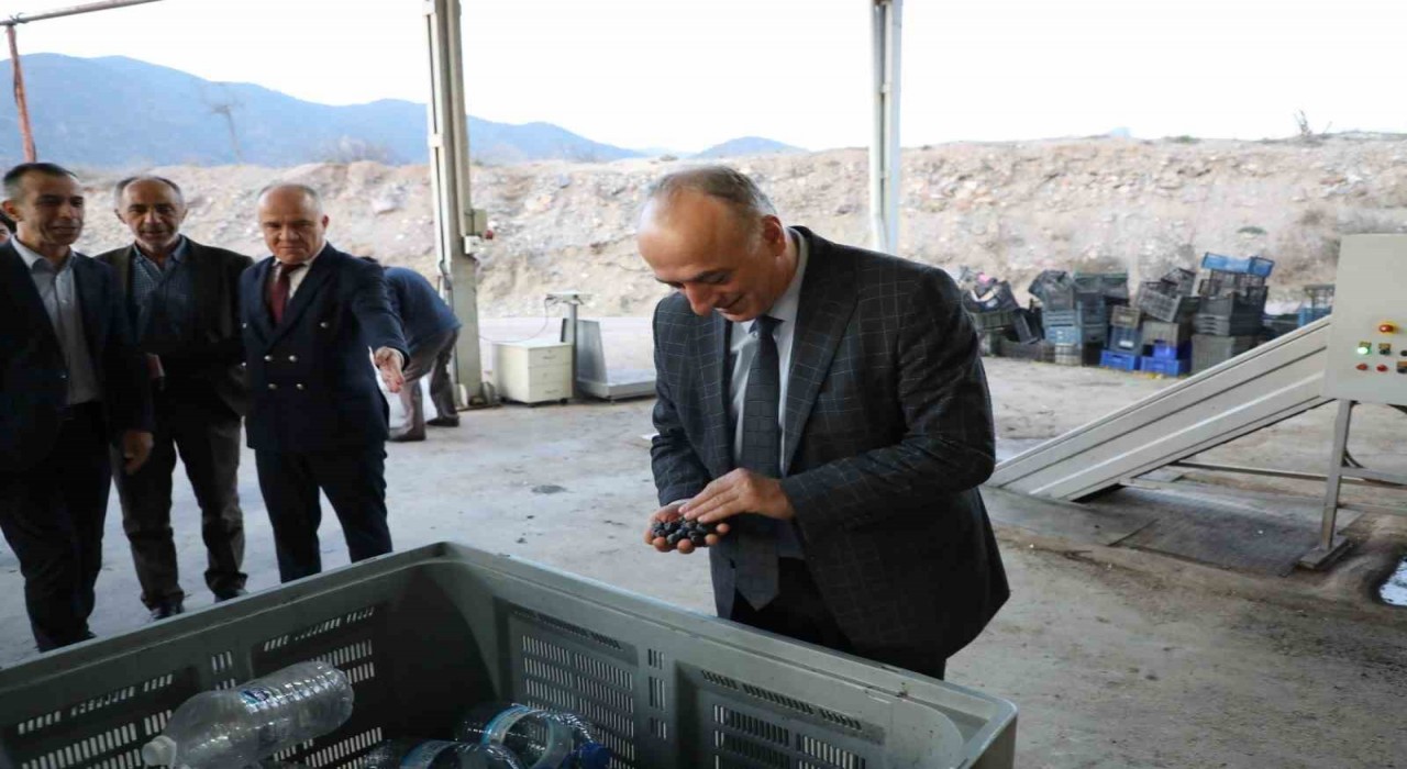 Sarıcakaya zeytinle ön plana çıkıyor