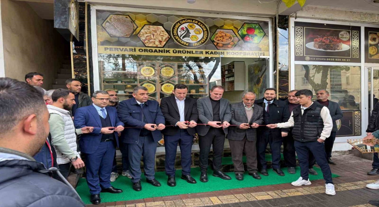 Siirtte 12 kadın kooperatifleşti