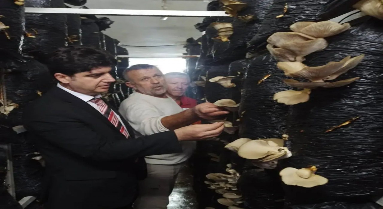 Sinopta mantar yetiştiriciliği eğitimi