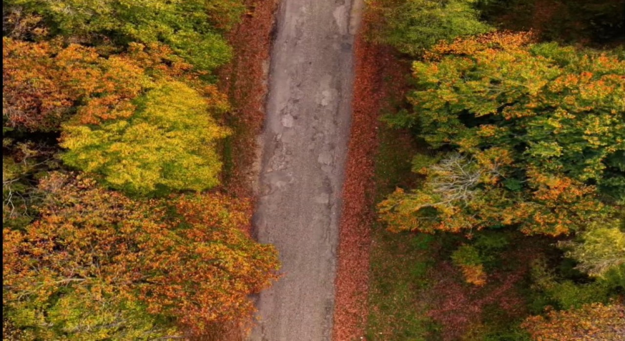 Sinopta sonbahar güzelliği