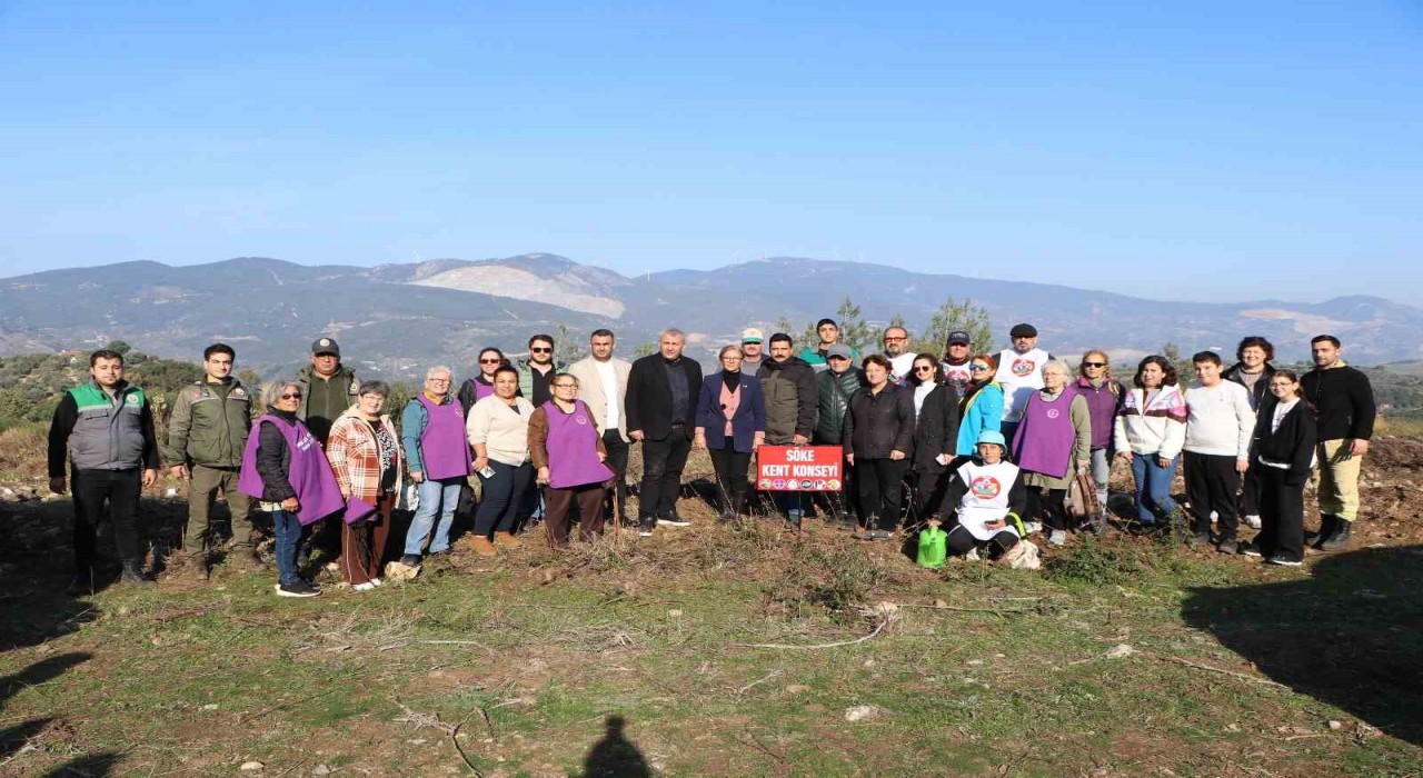 Sökede fidanlar toprakla buluştu