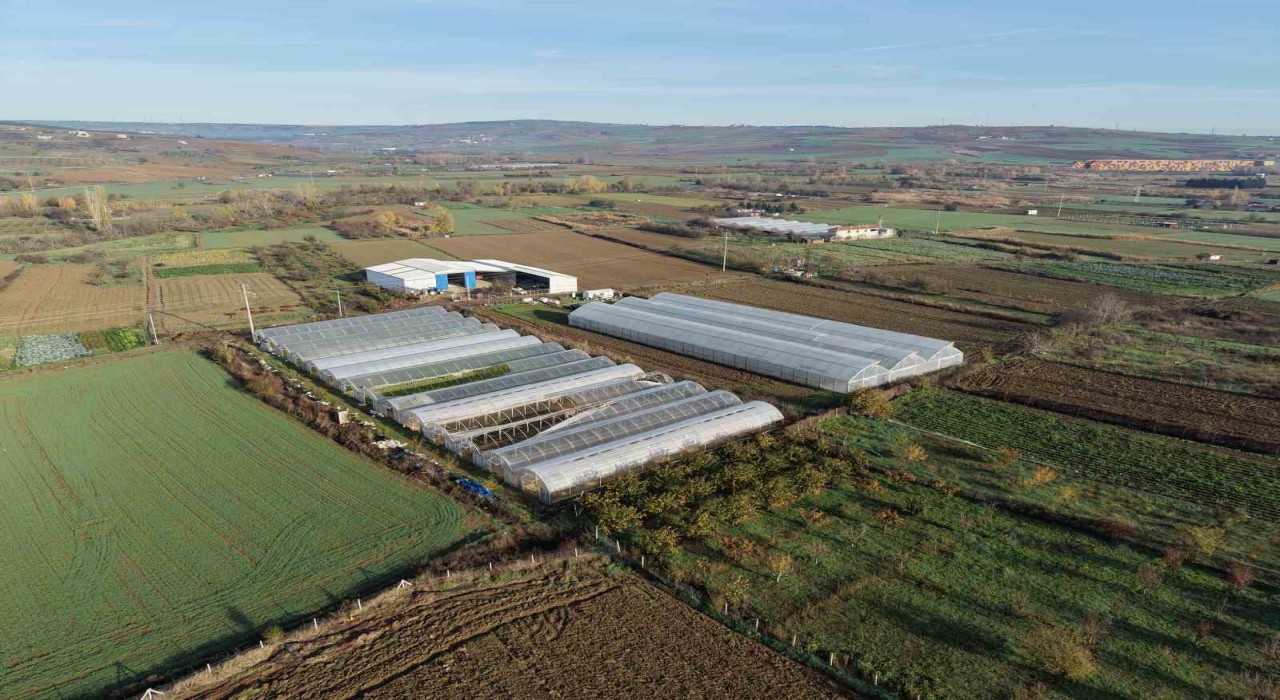 Tekirdağda 70 futbol sahası büyüklüğünde sera naylonu dağıtıldı