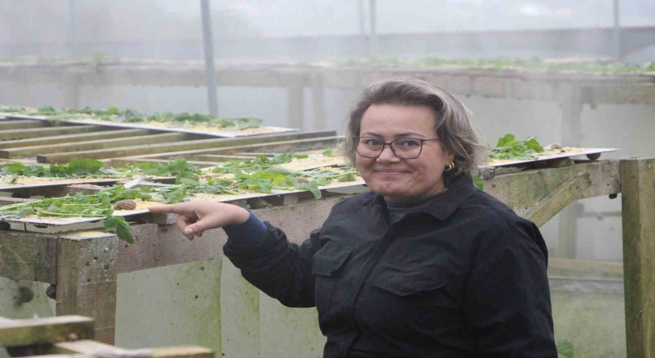 Trabzondan dünyaya Googlis