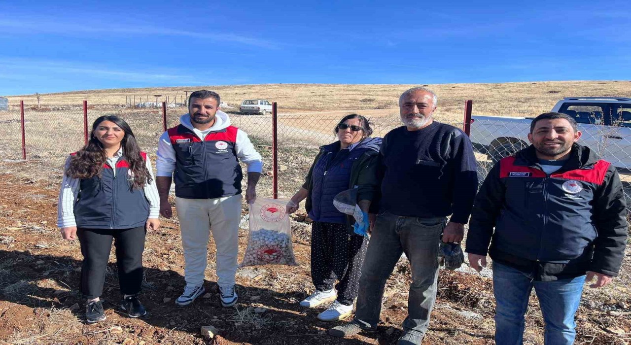 Tuncelinin 4 ilçesinde sarımsak ekimi yapıldı