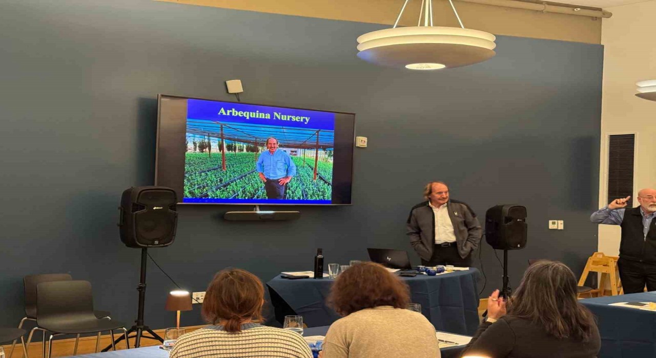 Türk zeytinyağına ABDde büyük ilgi