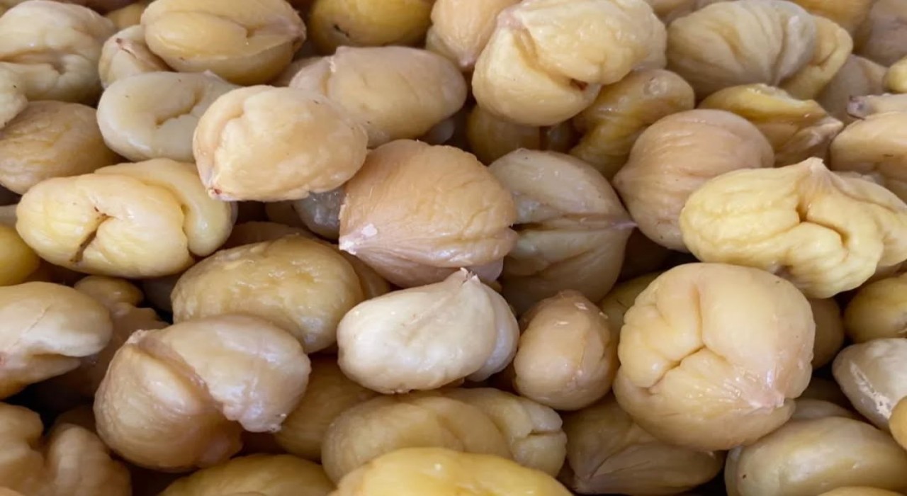 Türkiyenin yüzde 33ünü karşılayan Aydın Kestanesi, ihracata hazırlanıyor