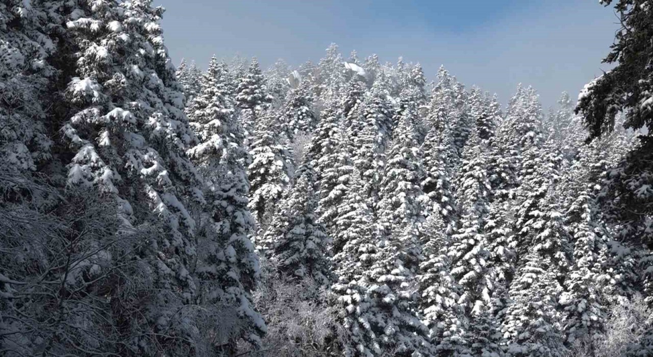 Uludağda göz gözü görmüyor