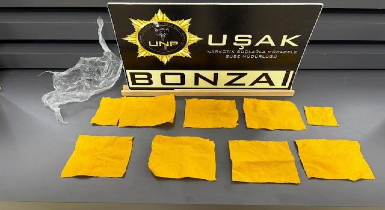 Uşakta çok sayıda uyuşturucu madde ele geçirildi